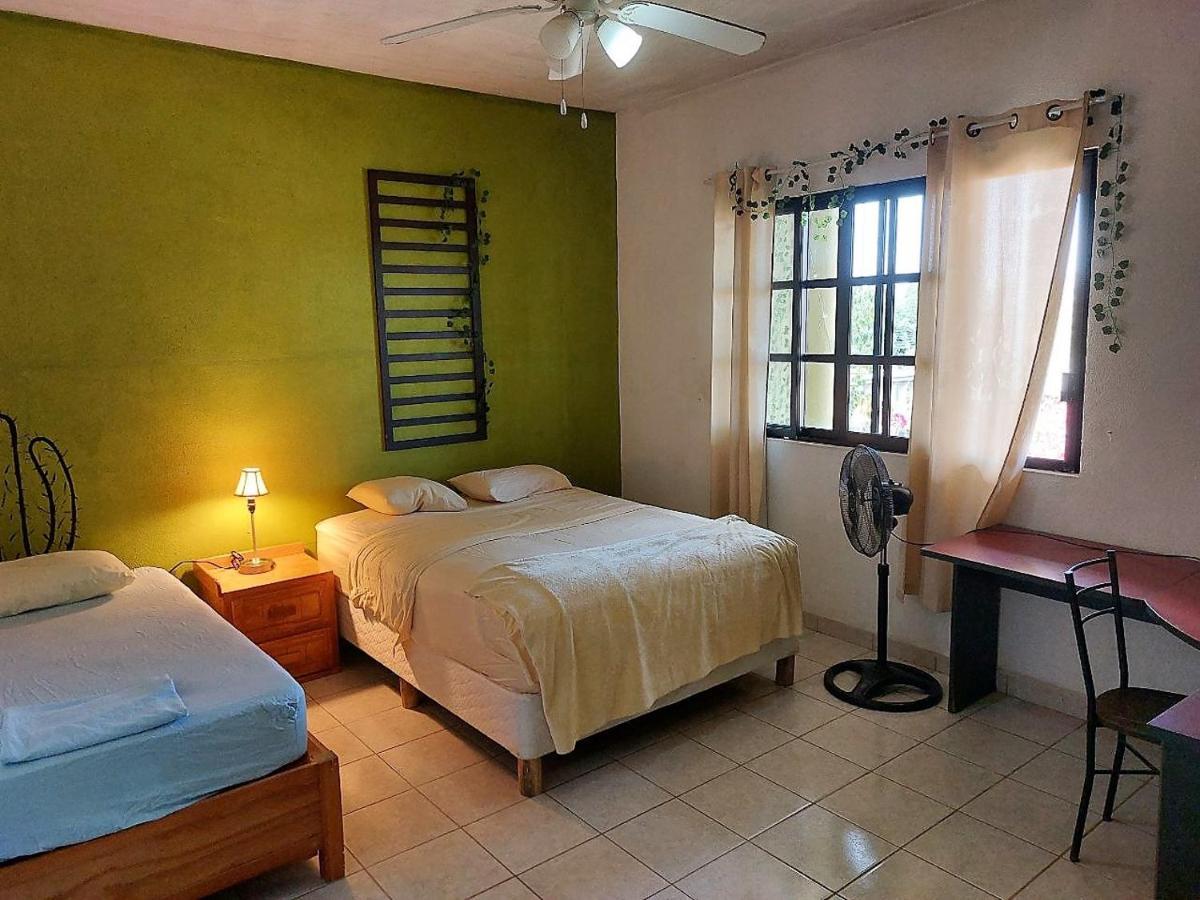 Cho Ku Rei Hostal San José del Cabo Exterior foto